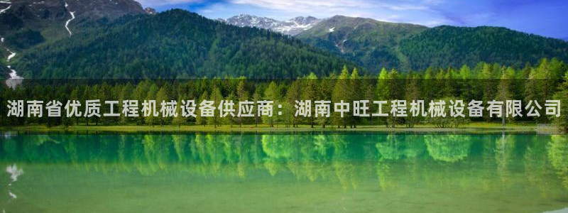 杏盛平台上级：湖南省优质工程机械设备供应