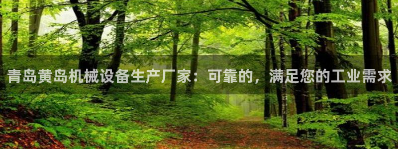 杏盛官网：青岛黄岛机械设备生产厂家：可靠