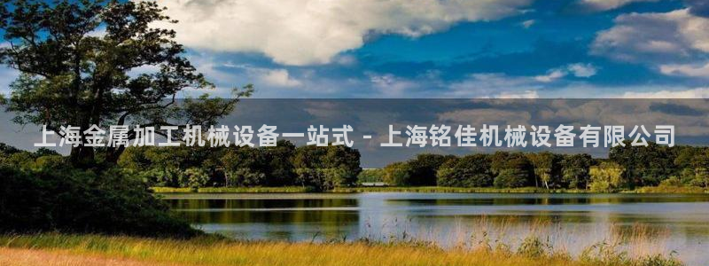 杏盛平台官网注册：上海金属加工机械设备一