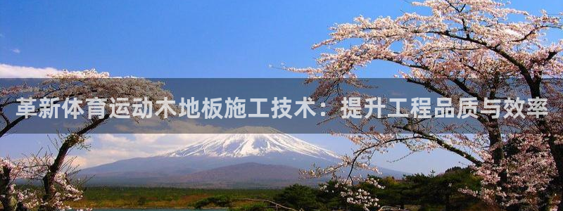 球速体育