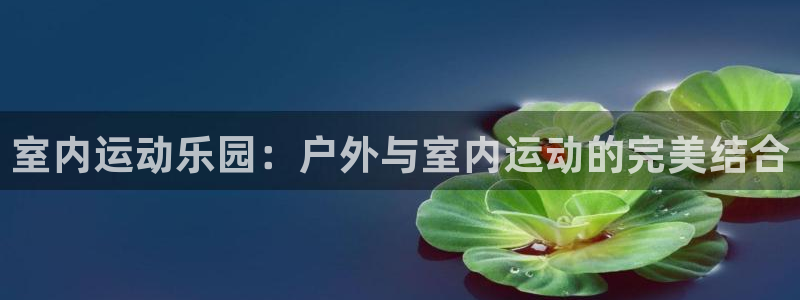 球速体育