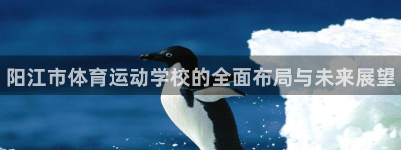 球速体育