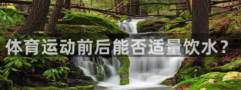 球速体育
