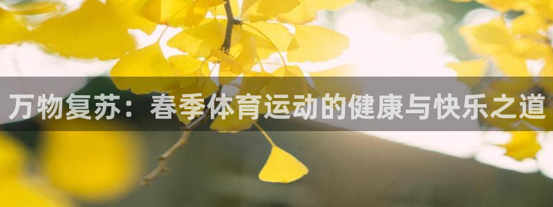 球速体育