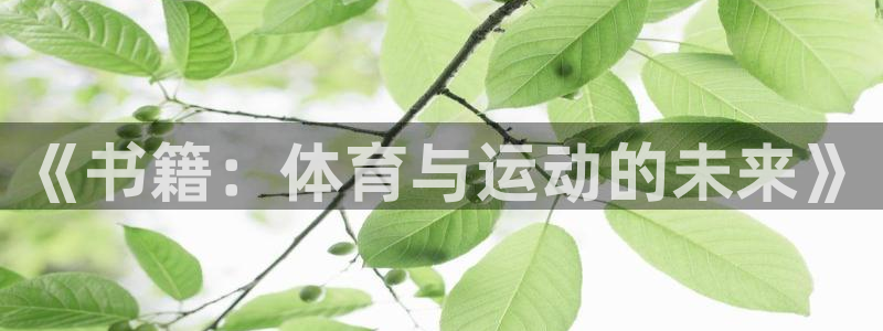 球速体育