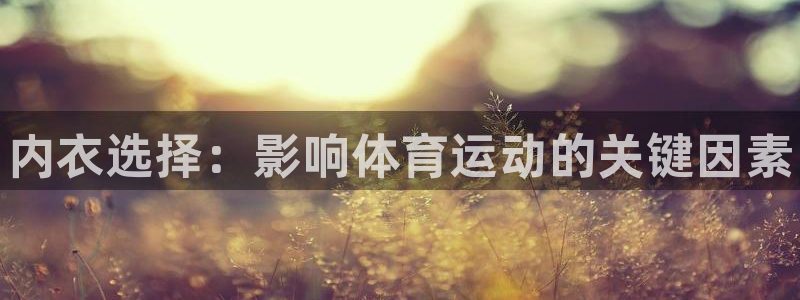 球速体育