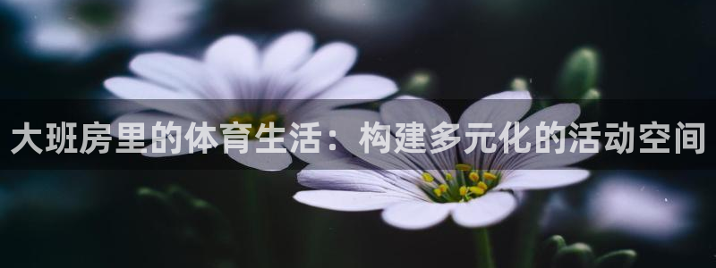球速体育