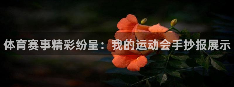球速体育